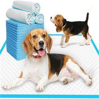 China High Sustainable Disposable Odor Control Pet Absorbent Pad For Dogs for sale