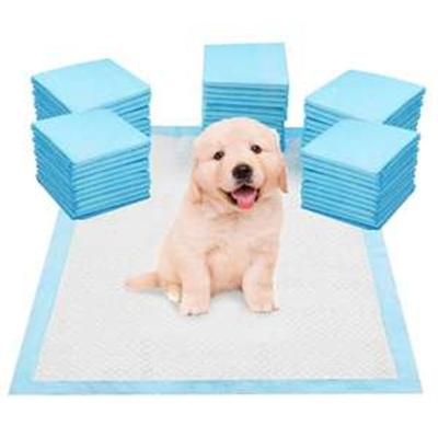 China Viable Free Sample Wholesale Disposable Toilet Training Pet Pads For Puppies Urine Absorbent Pads for sale