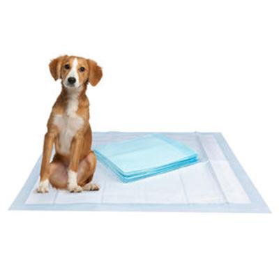 China Waterproof Disposable Puppy Diaper Pet Pad Training Healthy Pad 60*90cm for sale