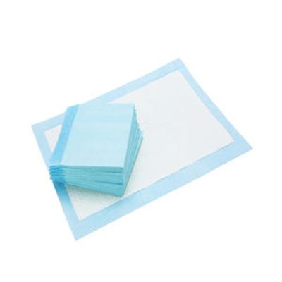 China Sustainable Pet Good Hygiene Practices Urine Holding Disposable Mat Quick Dry And Leak Free Pet Pad for sale