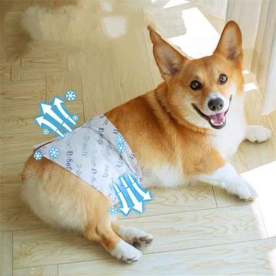 China High Viable Absorbent Disposable Dog Diaper, Pet Diaper, Pet Product For Hot Salt for sale