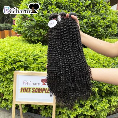 China Wholesale Indian Silky Straight Wave Temple Hair In India,Indian Raw Virgin Hair Vendor,Curly Virgin Hair Dropshipping Bundle for sale