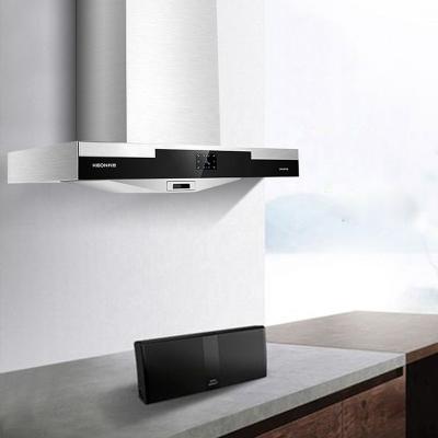 China Hotel Copper Motor Side Draw Range Hood Large Wall Mounted Kitchen Chimney Hood for sale