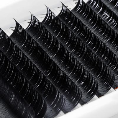 China Light Jeleap Lashes C D Curl 11mm12mm Russian Volume Eyelash Extension 0.07mm Cilia Silk Individual Lashes Extension for sale