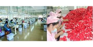 Verified China supplier - Yangzhou Dadong Craft Co.,ltd.