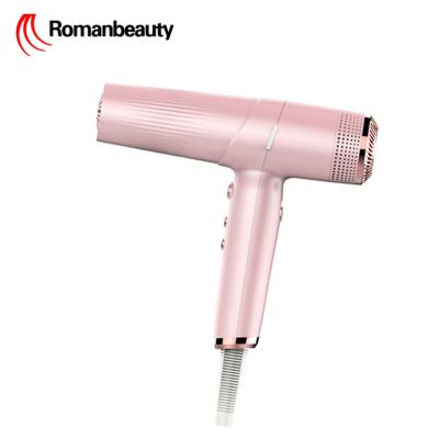 China OEM 320g Ionic Portable Self-cleaning Custom Blow Dryer For Salon Use Professional Bldc Hair Dryer for sale