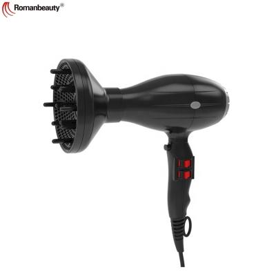 China Manufacturer Customized Logo 1000W Ionic Commercial Professional Hair Dryer Blow Dryer for sale