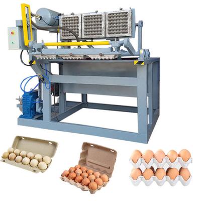 China Chicken Farm / Industry 1500PCS/H Small Paper Pulp Packing Egg Tray Machine Production Line for sale