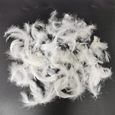 China goose feather washed white goose down feather for cushion filling, factory price goose feather for sale