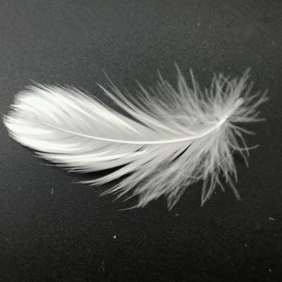 China 2-4 cm chinese goose feather hot sale goose quilt duck feather for goose quilt quilt for sale