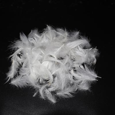 China Duck Feather Washed white duck feather used for blanket and cushion for sale