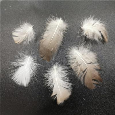 China 2-4 cm goose feather factory wholesale vest insert down lining Gray Goose Feather quilt for sale