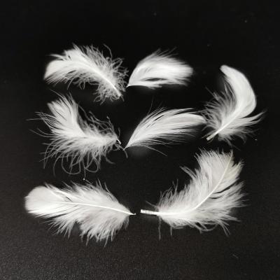 China 2-4 Cm Goose Feather China Wholesale White Down Price Washed White Goose Feather for sale