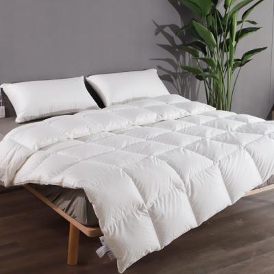 China High Quality 95% White Comforter Home Hotel Down Duck Feather Duvet for sale