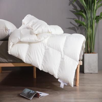 China New home fashion can be designed luxury goose down comforter to fill from factory for sale