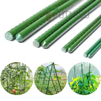 China Waterproof Potted Potted Plant Stakes Indoor Plants Flower Vine Garden Growing Vegetable Support Sticks Tomato Cage Stakes for sale