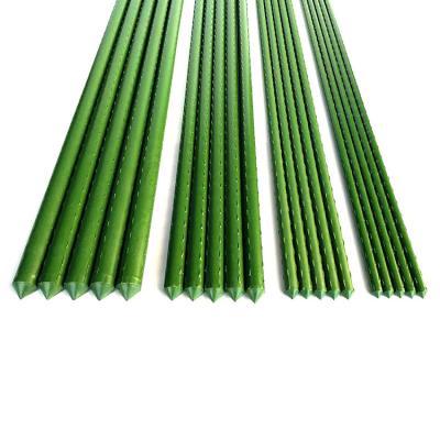 China Waterproof Plants Tomatoes Roses Green Beans Trellis Set Stick Plant Support Plastic Coated Steel Garden Stake for sale