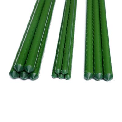 China Corrosion Resistance Garden Plant Stick Metal Climbing PE Coated Tomato Support Garden Stakes Plastic Coated Steel Plants Climbing Sticks for sale