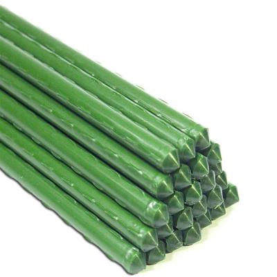 China Waterproof Climbing Green Plants Tomatoes Roses Beans Trellis Put Stick In Plastic Covered Garden Stakes Plant Support Tall Stakes for sale