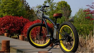 China 500W Brushless Electric Motor big tire mountain bike 5 - 6 Hours Charging time for sale