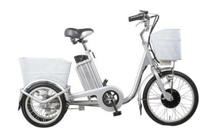 China Smart charger 3 wheeled electric bike 40 - 45km range pedal assist electric bike for sale