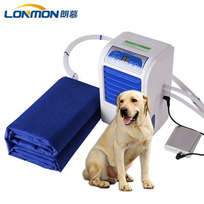 China Lonmon Hot Sale 12V Electric Cooling Pets By Water Cooling Mattress Pets Cooling Mattress for sale