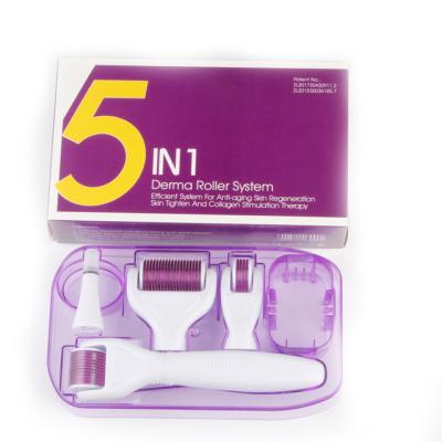 Cina Prova la potenza di 5 in 1 DRS Derma Roller 300/720/1200 Aghi per una pelle impeccabile in vendita