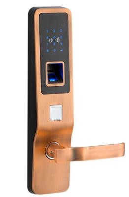 China Delux high-end access biometric touch screen digital smart fingerprint lock for sale