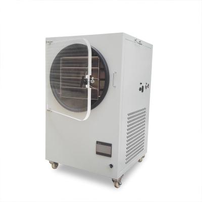 China 750w Vacuum Dryer Lab Drying Oven small vacuum freeze dryer 145*275mm Household freeze dryer for sale