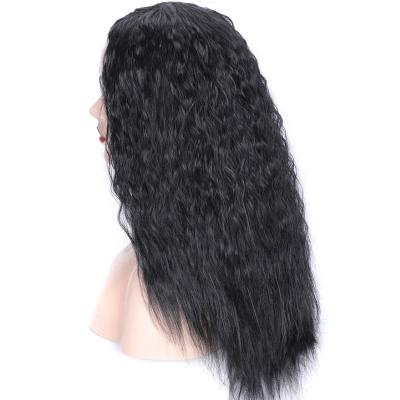 China Factory Wholesale Ash Blonde Hot Selling Barely Shedding Thick Smooth Soft Afro Curly Human Wig Afro Curly Human Wig for sale