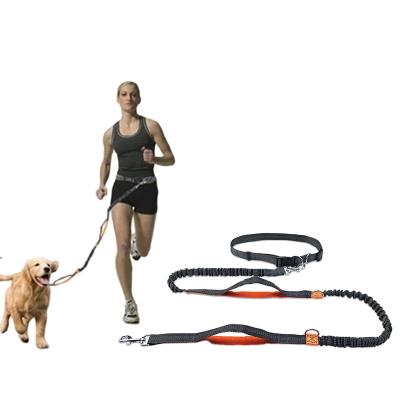 China Thoughtful Elastic Dog Belt Running Leash Set Hands Free Bungee Jogging Pet Retractable Leashes For Training for sale