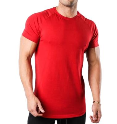 China High Quality Cotton 6% Elastane Anti-Wrinkle 94% Cotton 6% Elastane Short Sleeve Curved Edge T-shirt Custom Gym T-shirt Men Gym Wear for sale