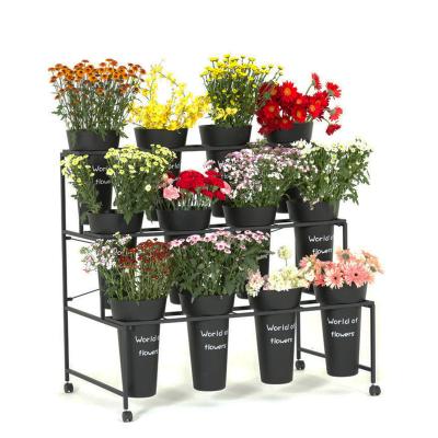 China Viable Good Quality 12pcs Buckets Plant Stand Metal Flower Display Rack Stand for sale