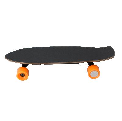 China Youth Wholesale Truck Electric Electronic Skateboard Fishboard Skateboard Skate Board for sale