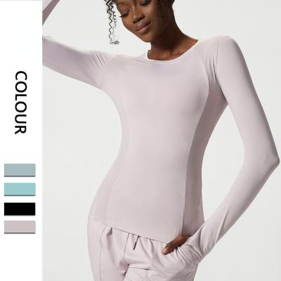 China 2022 Antibacterial Breathable Mesh Quick Dry Long Sleeve Tops With Thumb Hole Soft Stretch Plus Size Gym Fitness Women Clothes for sale