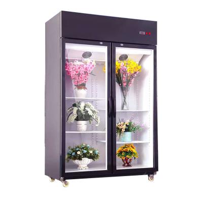 China Double-temperature new product flower refrigerator display cabinet flower refrigerator for florist for sale