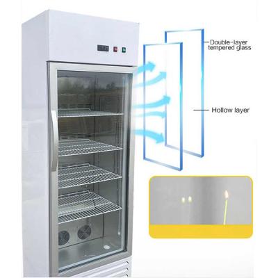 China Create Appropriate Temperature for Seed Germination Agriculture Plant Tissue Culture Incubator Seed Germination Incubator Chamber Testing Equipment for sale