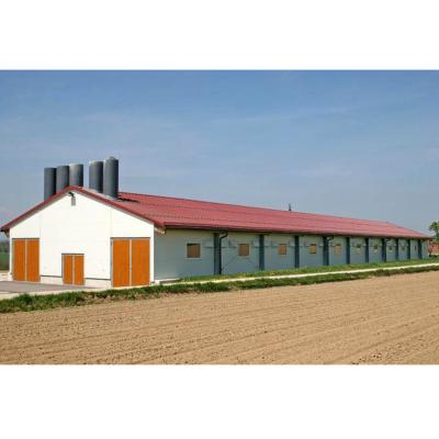 China Modern Prefab Poultry Farm Low Cost Steel Structure Poultry Egg Chicken Farm Pier Building House for sale