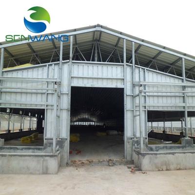 China Steel Structure Platform Cow Farm Building Chicken House Steel Structure Poultry Shed For Farm for sale