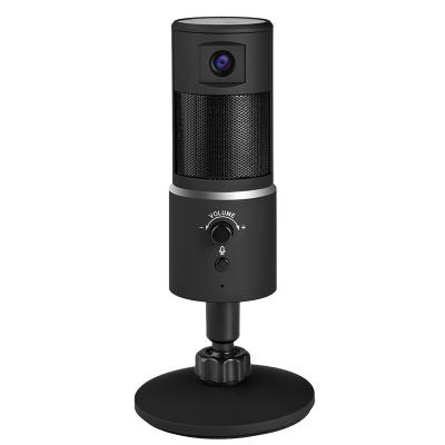 China Shine Fit Webcam-20 USB Microphone with 1080p HD Camera Plug Gaming PC Computer Broadcast Capacitor for Recording, Gaming, Singing, YouTube for sale