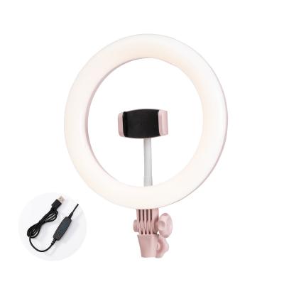 China 2020 Hot Sale Photographic Selfie Ring Light Makeup Mirror Lighting Led Ring Light 10 inch Selfie Ring Fill Light for sale