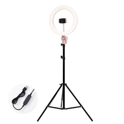 China 10inch LED Selfie Ring Light with Stand and Phone Holder Live Stream Make-Up Youtuber 10 inch Selfie Ring Fill Light for sale