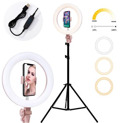 China 10 Inch Dimmable Beauty Tiktok Selfie Ring LightWith Tripo 3000K-6000K Photography Makeup Ring Light Lamp 10 Inch Ring Light for sale