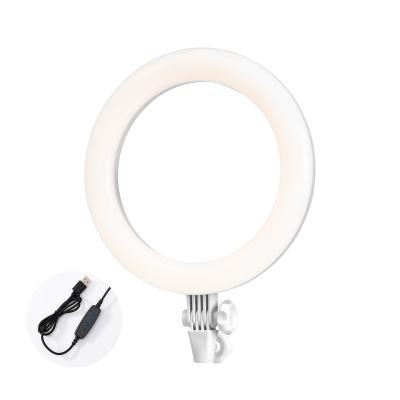 China New Ring Light 10 Inch LED Photography Lighting 60W 3000-6000K Dimmable Ring Lamp Photo Studio Video Selfie Ring Fill Light Makeup Cameral 10 for sale