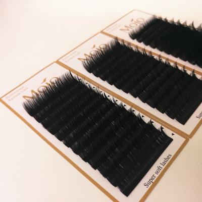 China Natural Long J Since C D Loop Lash Mink Silk Eyelash Extensions Lash Tray for sale