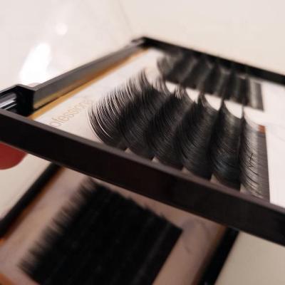 China Natural Bulk Long Lashes Easy Fanning Eyelash Extensions for sale