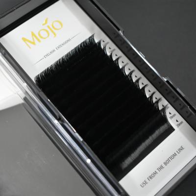 China Long New Natural Easy Fanning Eyelash Double Layer Eyelash Extension for sale