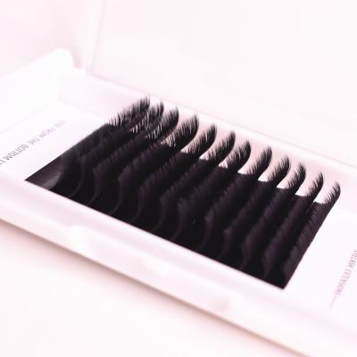 China New Arrivals Natural Mojo Long Fan Cashmere Easy Flat Eyelash Extensions Lashes Korean Silk Eyelashes Wholesale for sale