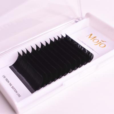 China Natural Long Mojo 0.03 0.05 0.07 Blooming 0.1Automatic Flowers Whips Self Fanning Easy Fan Blooming Eyelash Extensions for sale