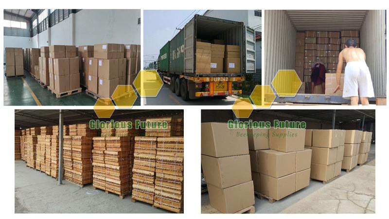 Verified China supplier - Henan Glorious Future Industrial Co., Ltd.